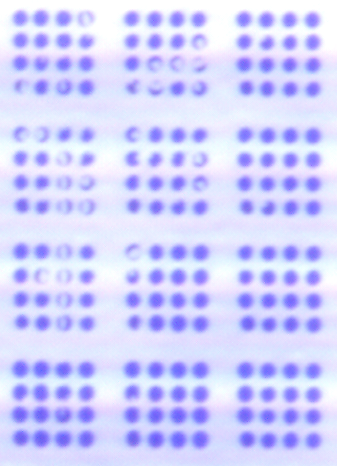 Image of microarray spots printed on uneven surface