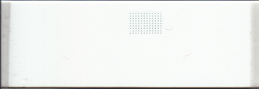 140 um Microarray Printed with uArrayer