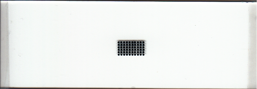 500um Microarray Printed with uArrayer